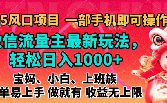 2025蓝海风口项目,微信流量主最新玩法,轻松日入1000+,简单易上手,做就有 收益无上限