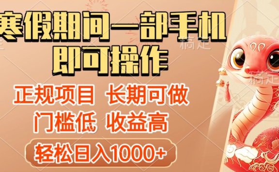 寒假期间一部手机即可操作,轻松日入1000+,小白,宝妈,上班族一天就能上手
