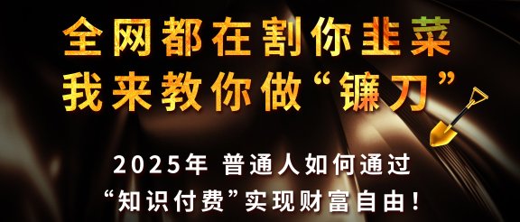 全网都在割你韭菜，我来教你做镰刀，2025年普通人如何通过“知识付费”实现财富自由
