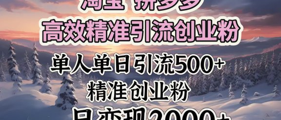 淘宝拼多多高效精准引流创业粉，单人单日引流500＋创业粉，日变现2000＋
