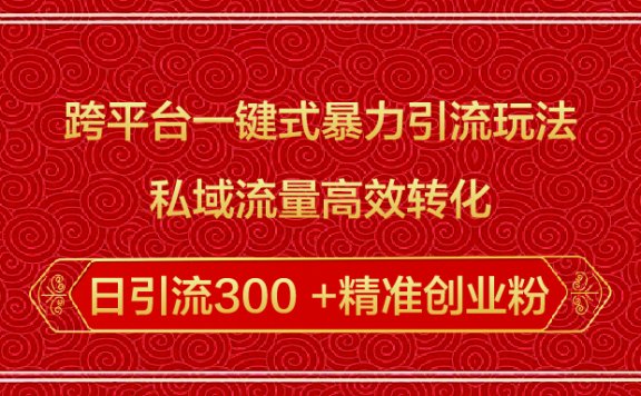 跨平台一键式暴力引流玩法,私域流量高效转化日引流300 +精准创业粉