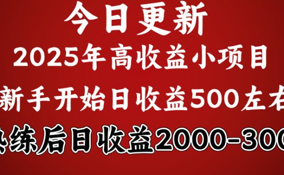 2025开年好项目,新手日收益500+ 熟练掌握后,日收益平均2000多