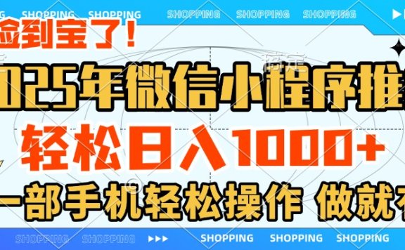 2025年微信小程序推广,轻松日入1000+,小白、宝妈一部手机轻松操作,做就有