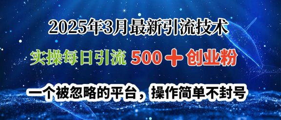 2025年3月最新引流技术，实操每日引流500➕创业粉，一个被忽略的平台，操作简单不封号