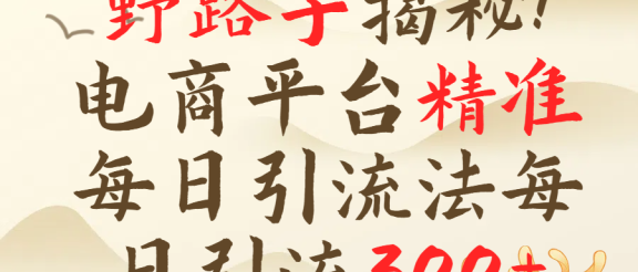 野路子揭秘！电商平台每日引流300＋独家揭秘详细流程！