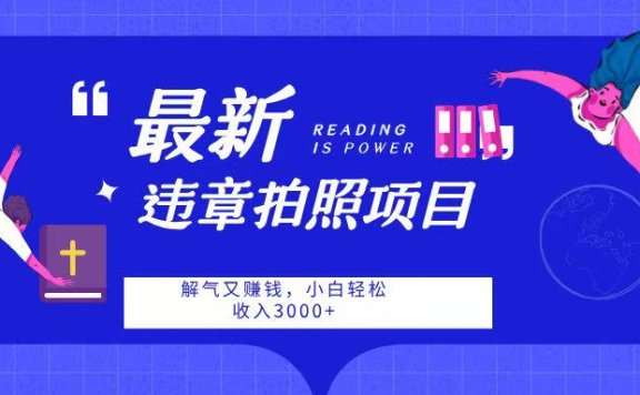 最新违章拍照项目,解气又赚钱,随手一拍,轻松收入3000➕