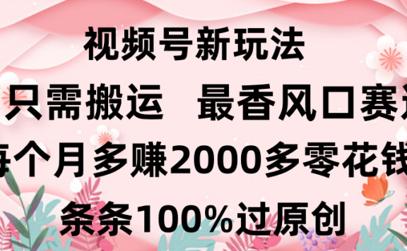 日入2000+,条条100%过原创,视频号最香风口赛道,小白轻松上手