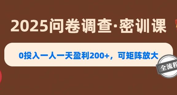 2025《问卷调查》0投入一人一天盈利200+，可矩阵放大