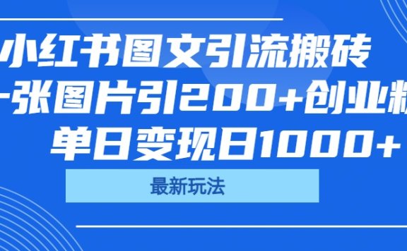 小红书图文引流搬砖,一张图片引200+创业粉,单日变现日1000+