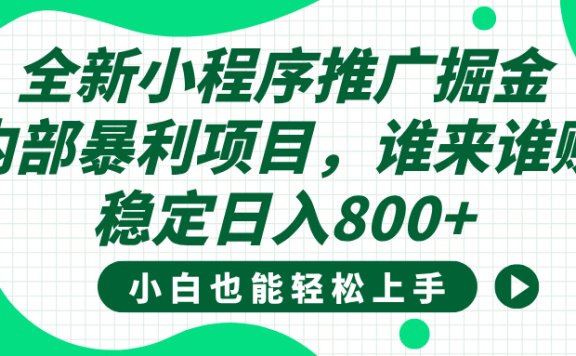 全新小程序推广掘金,内部暴利项目,小白轻松上手,稳定日入800+