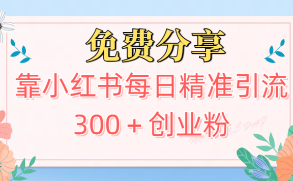 2025最新引流!靠小红书每日精准引流300+创业粉