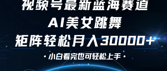 视频号蓝海赛道玩法，当天起号，拉爆流量收益，小白也能轻松月入30000+