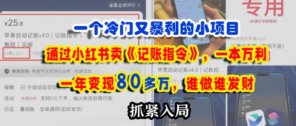 一个冷门又暴利的小项目，通过小红书卖《记账指令》，一本万利，一年变现80多万，谁做谁发财