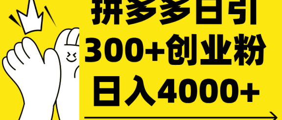 拼多多日引300+创业粉 日入4000+