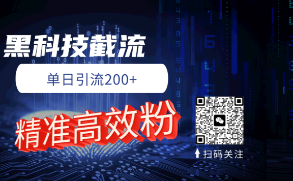 黑科技玩法 精准高效 日引200+