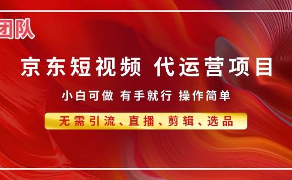 京东带货代运营,普通人翻身逆袭项目,小白有手就行,月入8000+