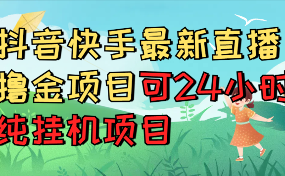 抖音快手最新直播撸金项目可24小时纯挂机项目