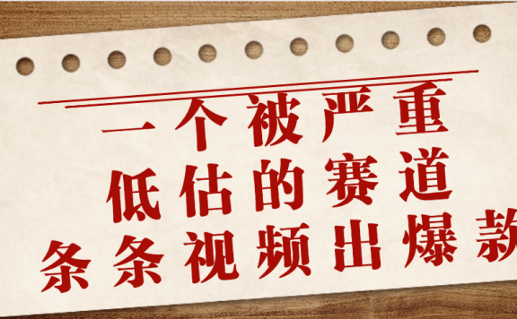 一个被严重低估的赛道,条条视频出爆款,一个月变现3万+