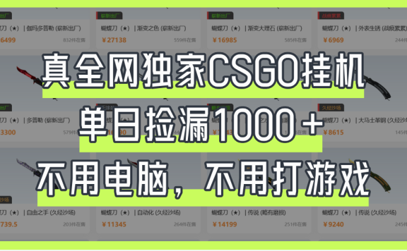 真全网独家CSGO挂机,单日捡漏1000+