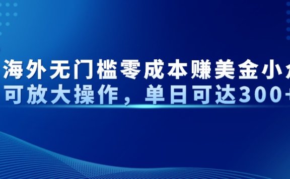 最新海外无门槛美金小众项目可放大操作,单日可达300+