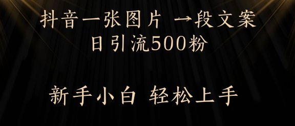 每天2分钟，抖音一张图片 一段文案日引流500粉