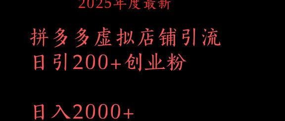 拼多多复制粘贴日引200+付费创业粉，月入6位数最新教程！