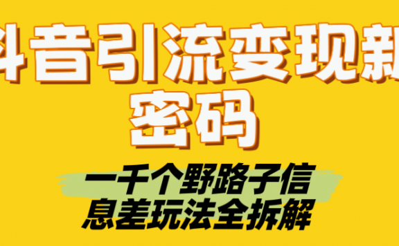 抖音引流变现新密码!一千个野路子信息差玩法全拆解