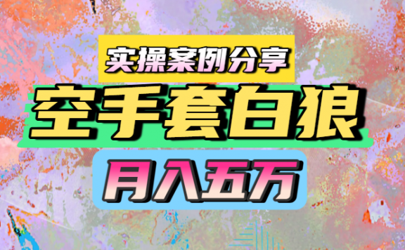 空手套白狼，月入五万，实操案例分享