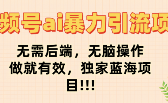 视频号ai暴力引流项目,无需后端,无脑操作,做就有效,独家蓝海项目!!!