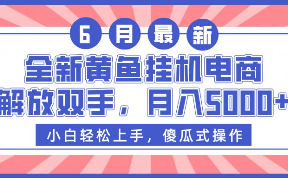 全新黄鱼挂机电商，解放双手，月入5000+