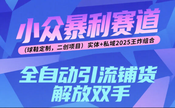 楠—小众暴利赛道（球鞋定制，二创项目）实体+私域2025王炸组合