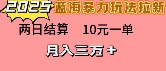 蓝海暴力拉新项目，10元一单，两日结算，月入3w➕