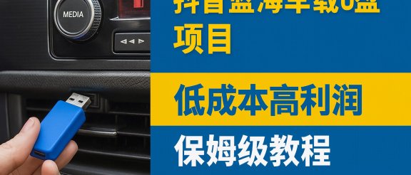 抖音蓝海车载U盘项目，低成本高利润保姆级教程，小白也能轻松月入过万