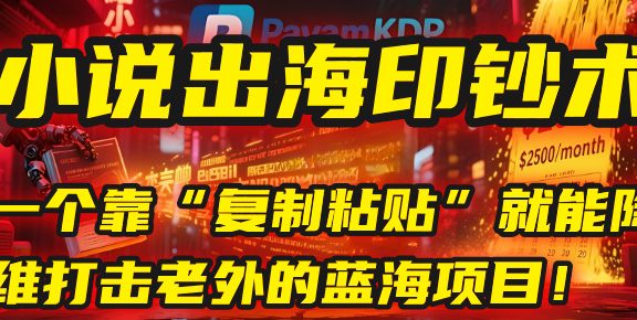 小说出海印钞术：一个靠“复制粘贴”就能降维打击老外的蓝海项目！
