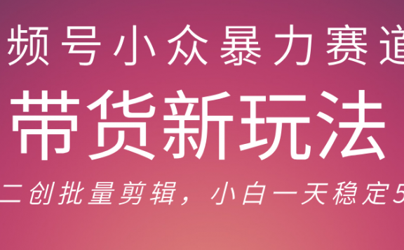 视频号小众暴力赛道,最新带货玩法 小白也能轻松日入500+ 保姆及教程