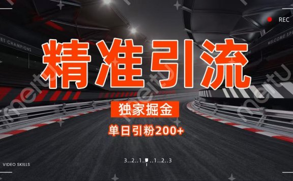 独家野路子精准引流 每日200+