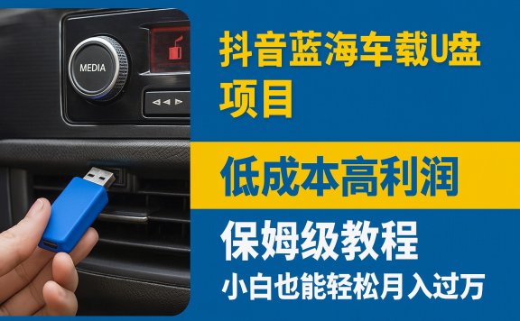 抖音蓝海车载U盘项目，低成本高利润保姆级教程，小白也能轻松月入过万
