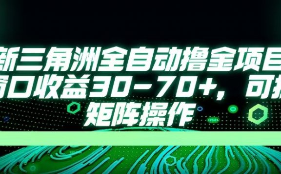 最新三角洲全自动撸金项目,单窗口收益30-70+,可批量矩阵操作