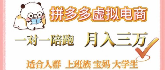 拼多多虚拟电商，一对一陪跑，月入3万，0囤货，轻资产，不发货