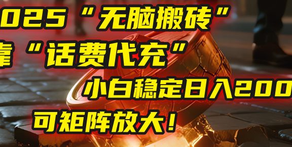 无脑搬砖项目：靠“话费代充”，小白稳定日入200+，可矩阵放大！