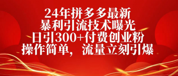 25年拼多多最新暴利引流技术曝光、日引300+付费创业粉操作简单，流量立刻引爆