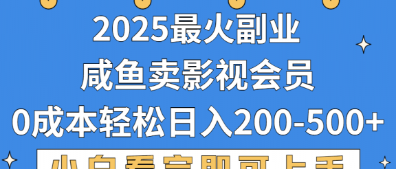 2025最火副业，闲鱼卖vip影视会员，零成本日入200-500