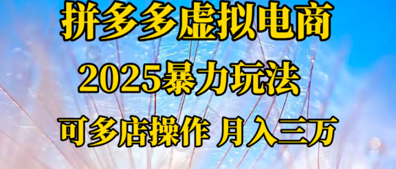 拼多多虚拟电商一对一陪跑 月入三万适合人群 上班族 宝妈 大学生