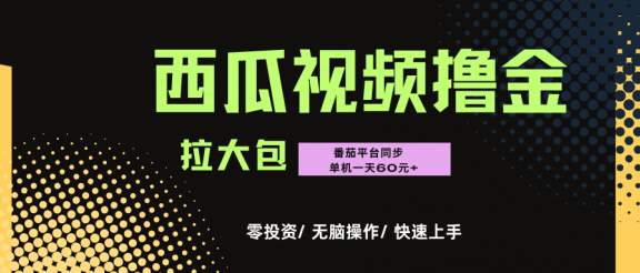 西瓜，番茄，撸金项目，单机一天轻松60元+，可无线放大化去做，零投资