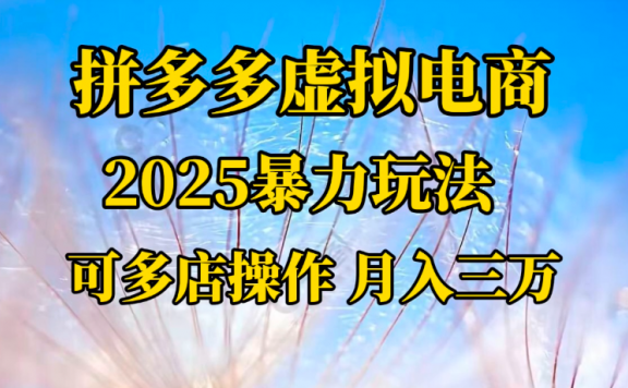 拼多多虚拟电商一对一陪跑 月入三万适合人群 上班族 宝妈 大学生