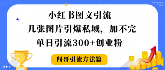 小红书图文引流，几张图片引爆私域加不完，单日引流300＋创业粉