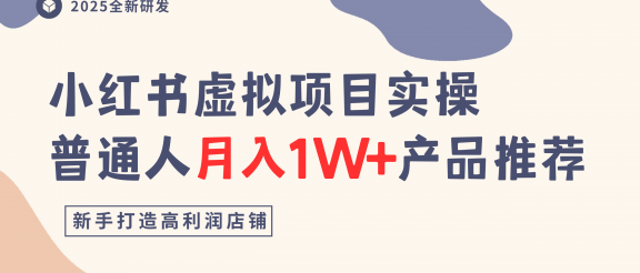 小红书虚拟项目实操指南，普通人月入1W+产品推荐，直接抄