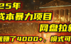 2025年,一个0成本的暴力项目,靠网盘拉新,有人一天就赚了4000+,模式可复制!