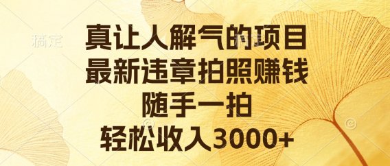 真让人解气的项目，最新违章拍照赚钱，随手一拍，轻松收入3000+