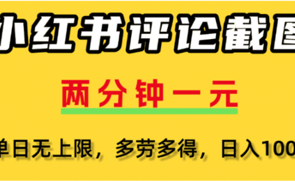小红书评论区评论截图，一分钟2条，可日入几千，多劳多得